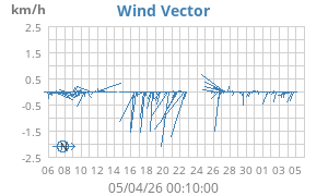 Wind Vector