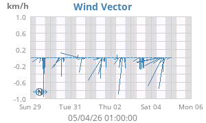 Wind Vector
